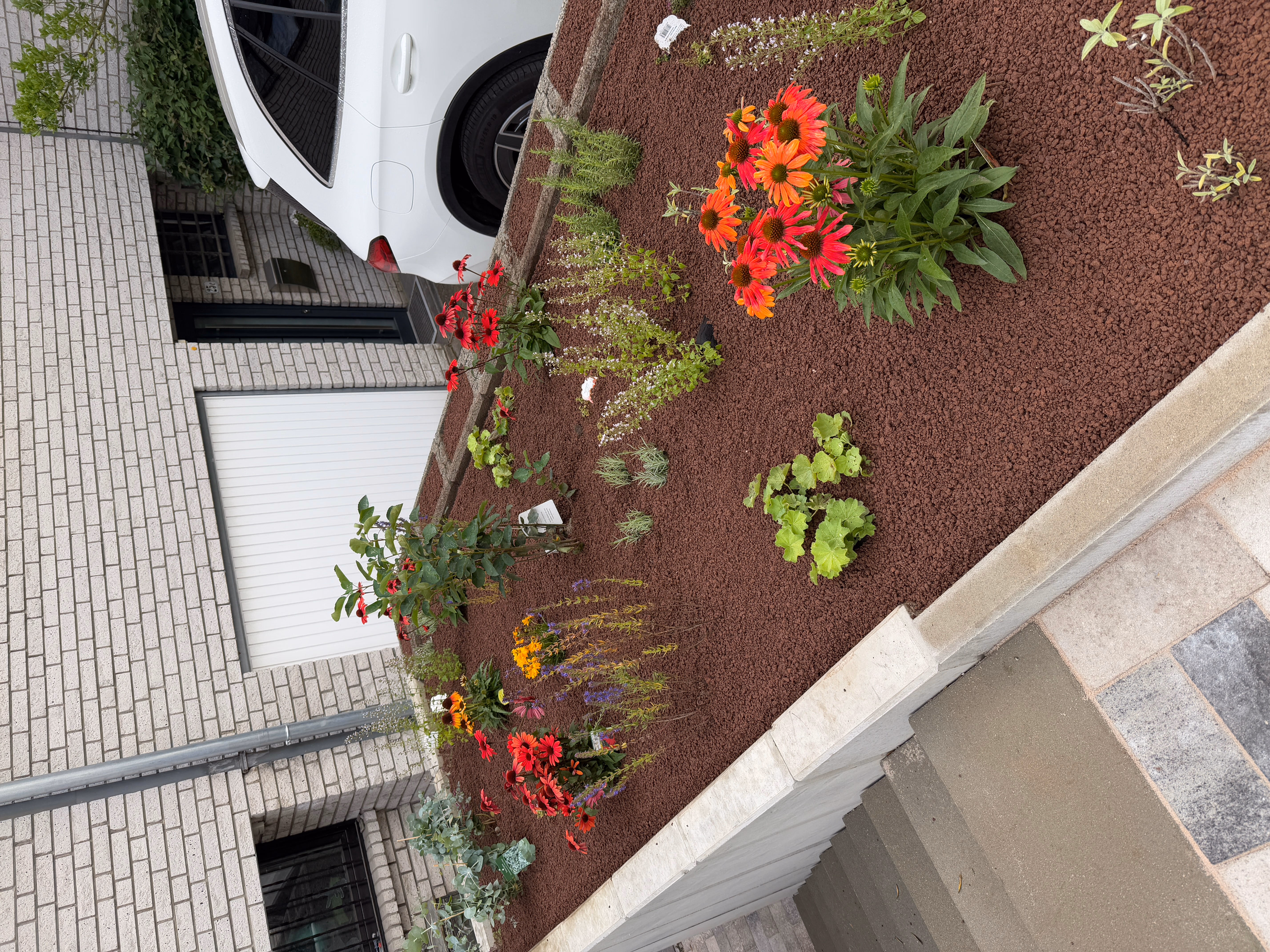 Gartenbepflanzung mit Stauden und Blumenbeet
