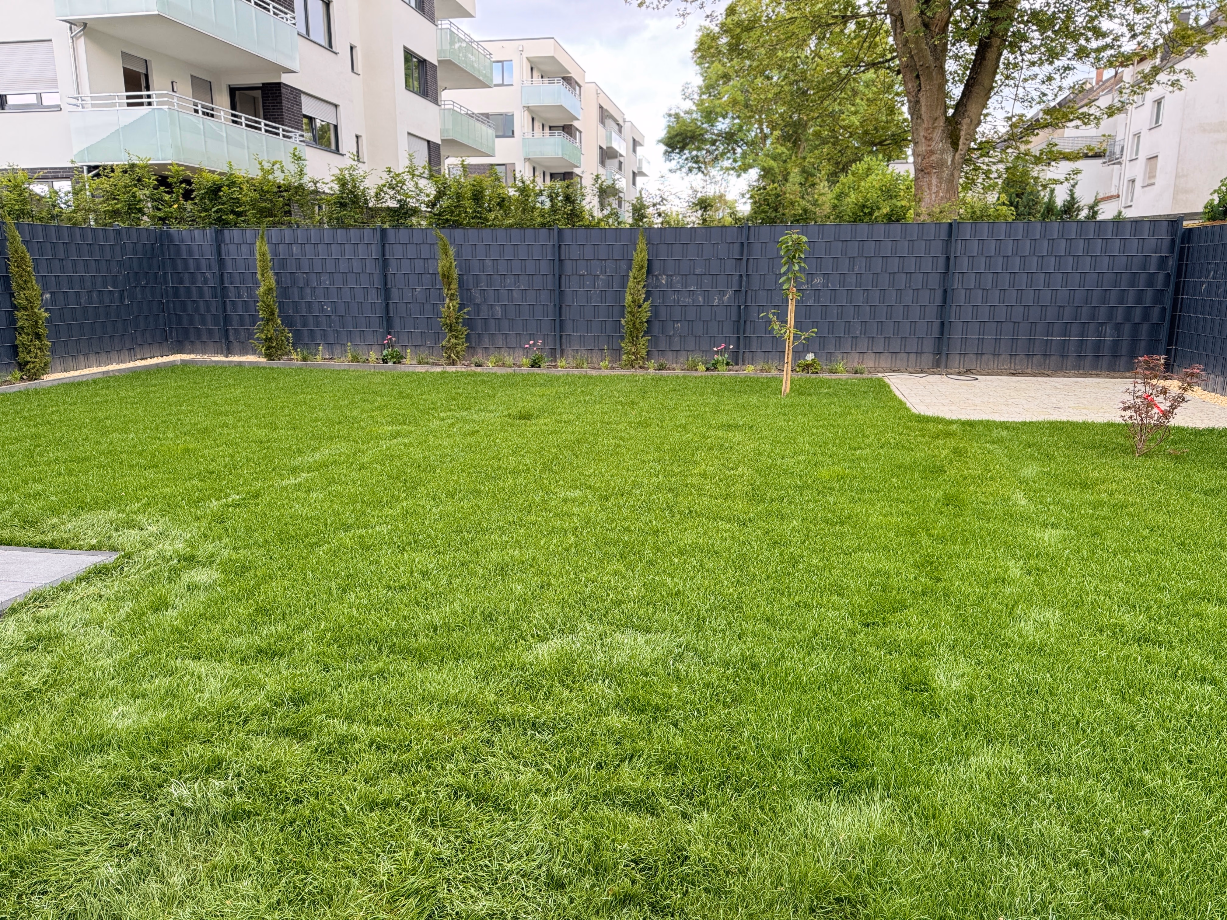rollrasen gartenflaeche hecke bochum