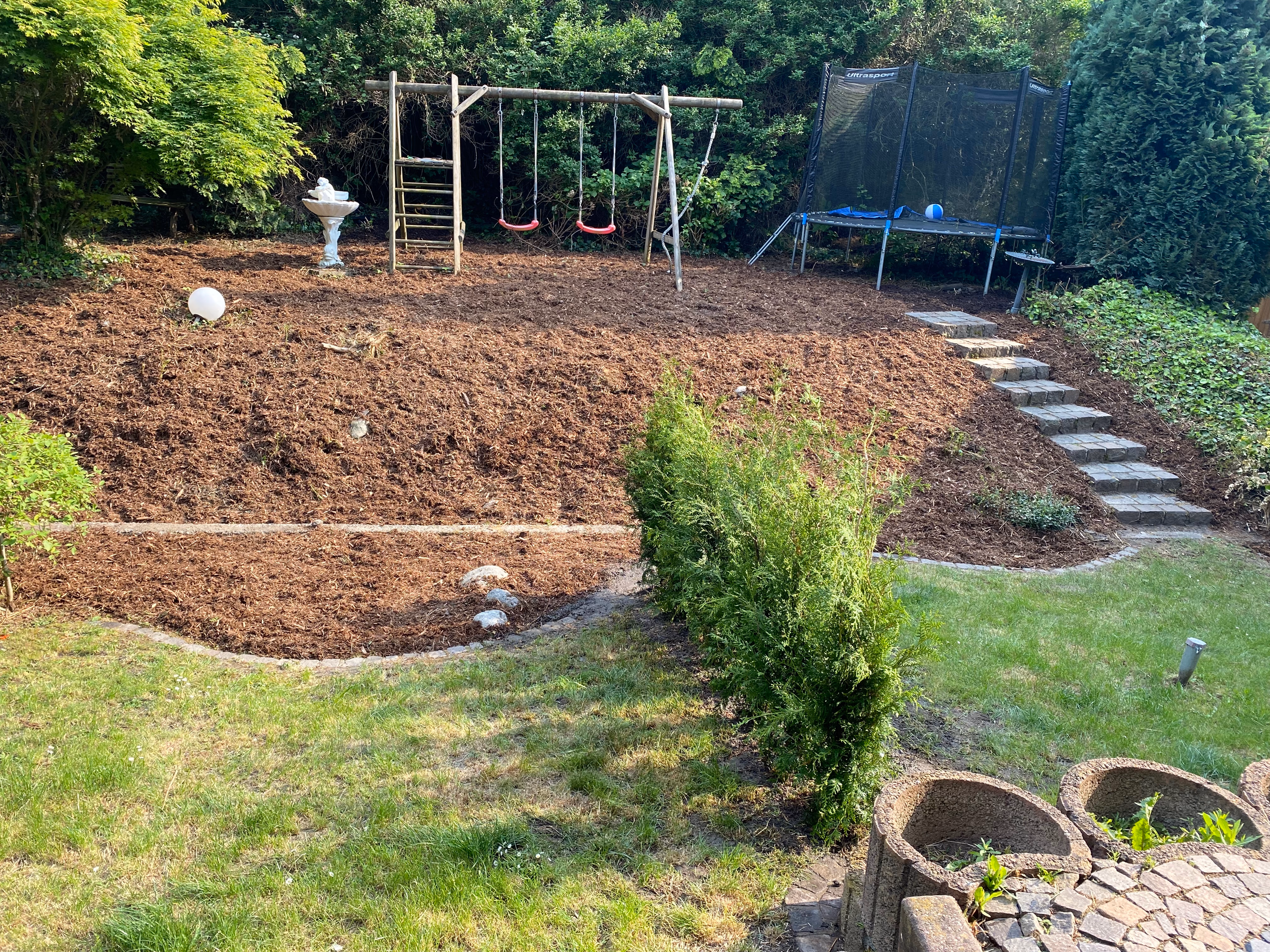 Frisch gemähter und gepflegter Rasen im Garten